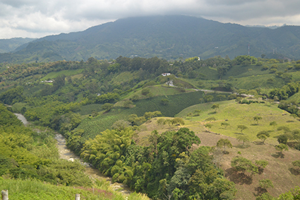 COValledeQuindio