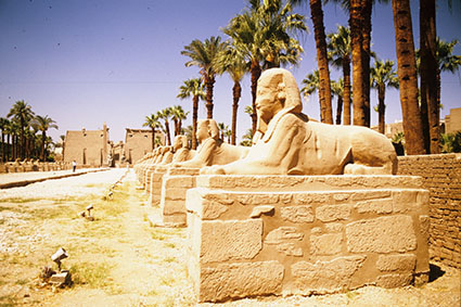 EGLuxor