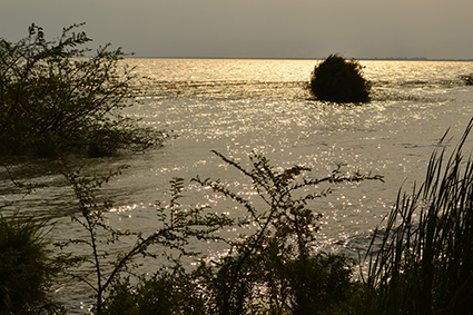 LagoTanganyika