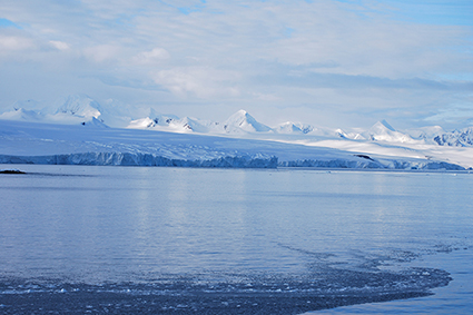 Peninsula Antarctica