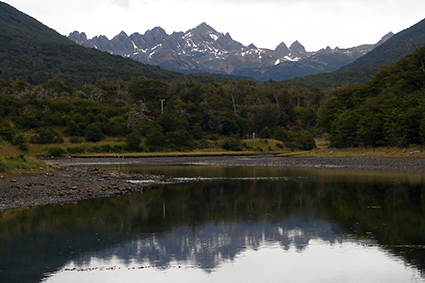 PuertoWilliams